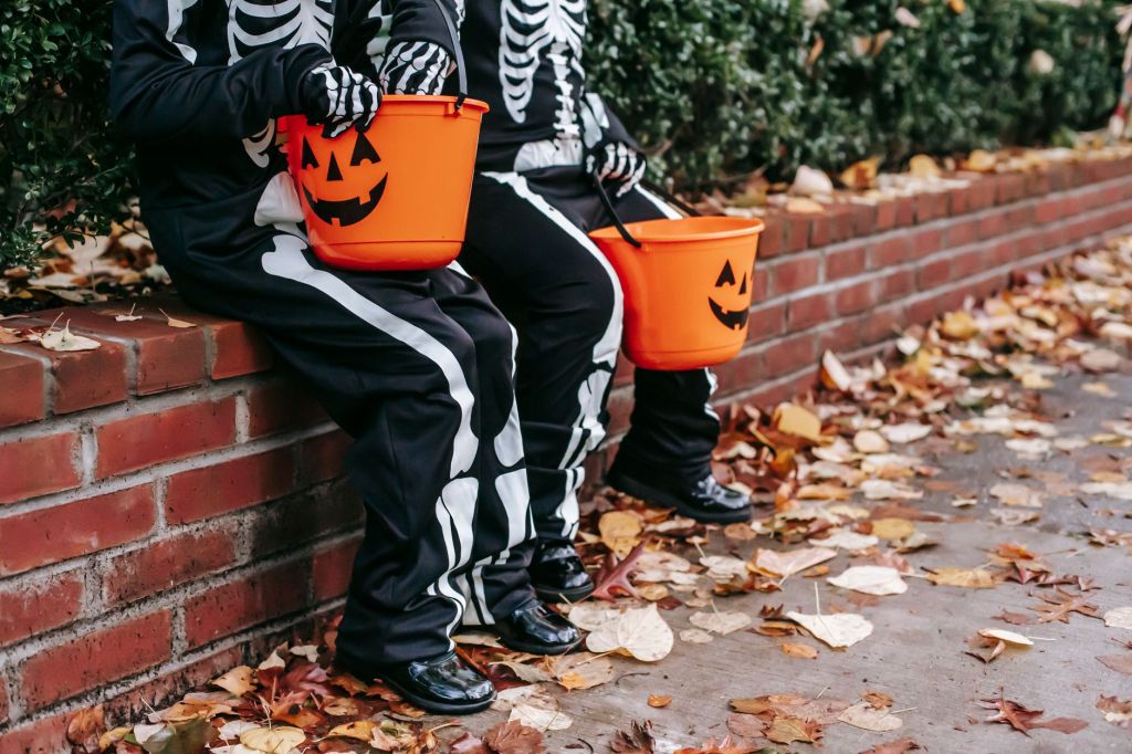 The current image has no alternative text. The file name is: pexels-photo-5859615.jpeg